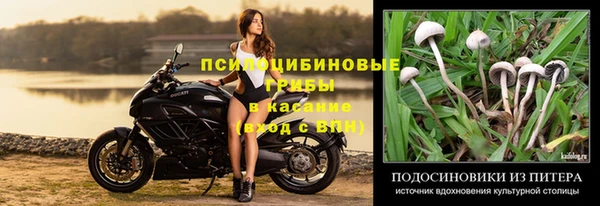мескалин Майский