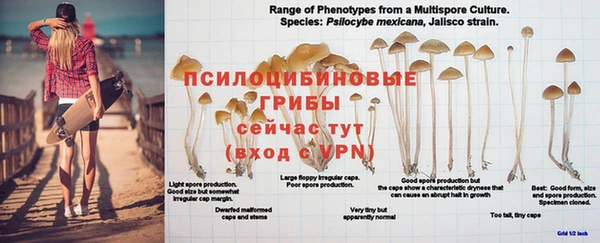 MDMA Магадан