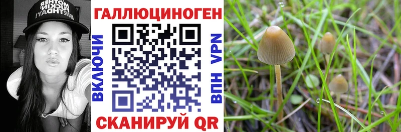 Галлюциногенные грибы мицелий  Волжский 