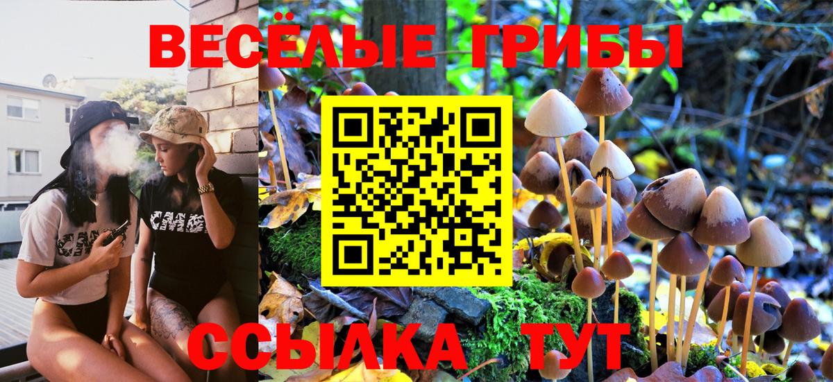 Галлюциногенные грибы Cubensis Волжский
