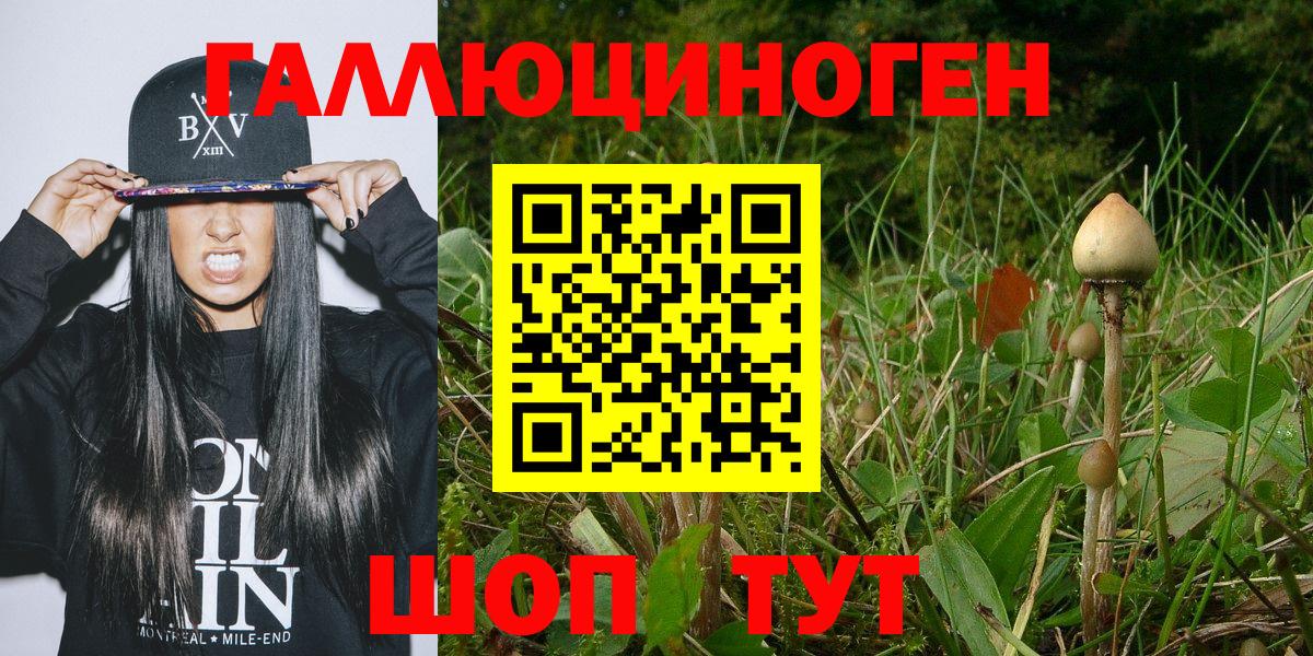магазин  наркотиков  Волжский  Галлюциногенные грибы ЛСД  Псилоцибиновые грибы GOLDEN TEACHER 